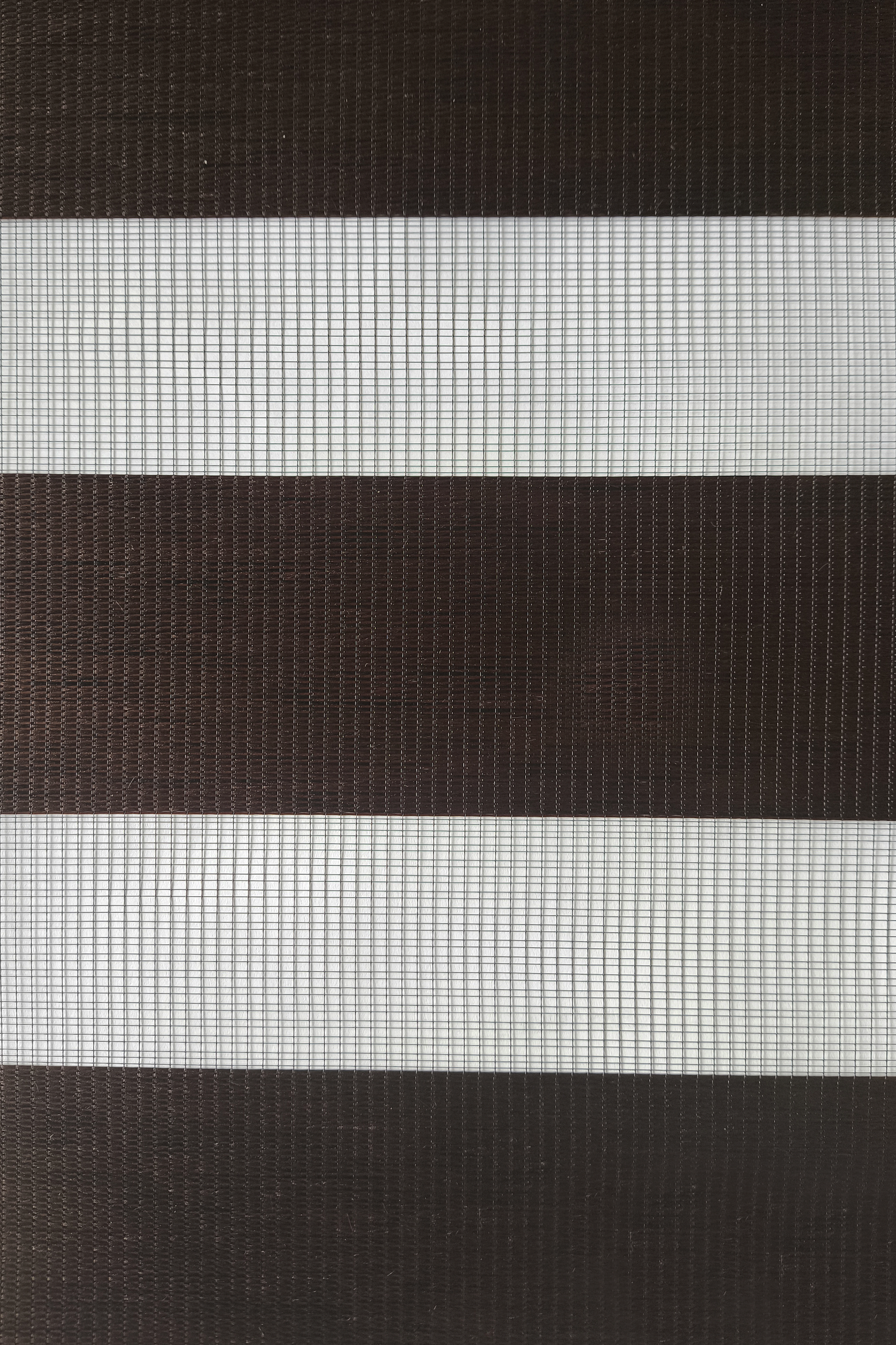 G#1 T-Z EXL 019-22878 CHOCOLATE 3.10ML