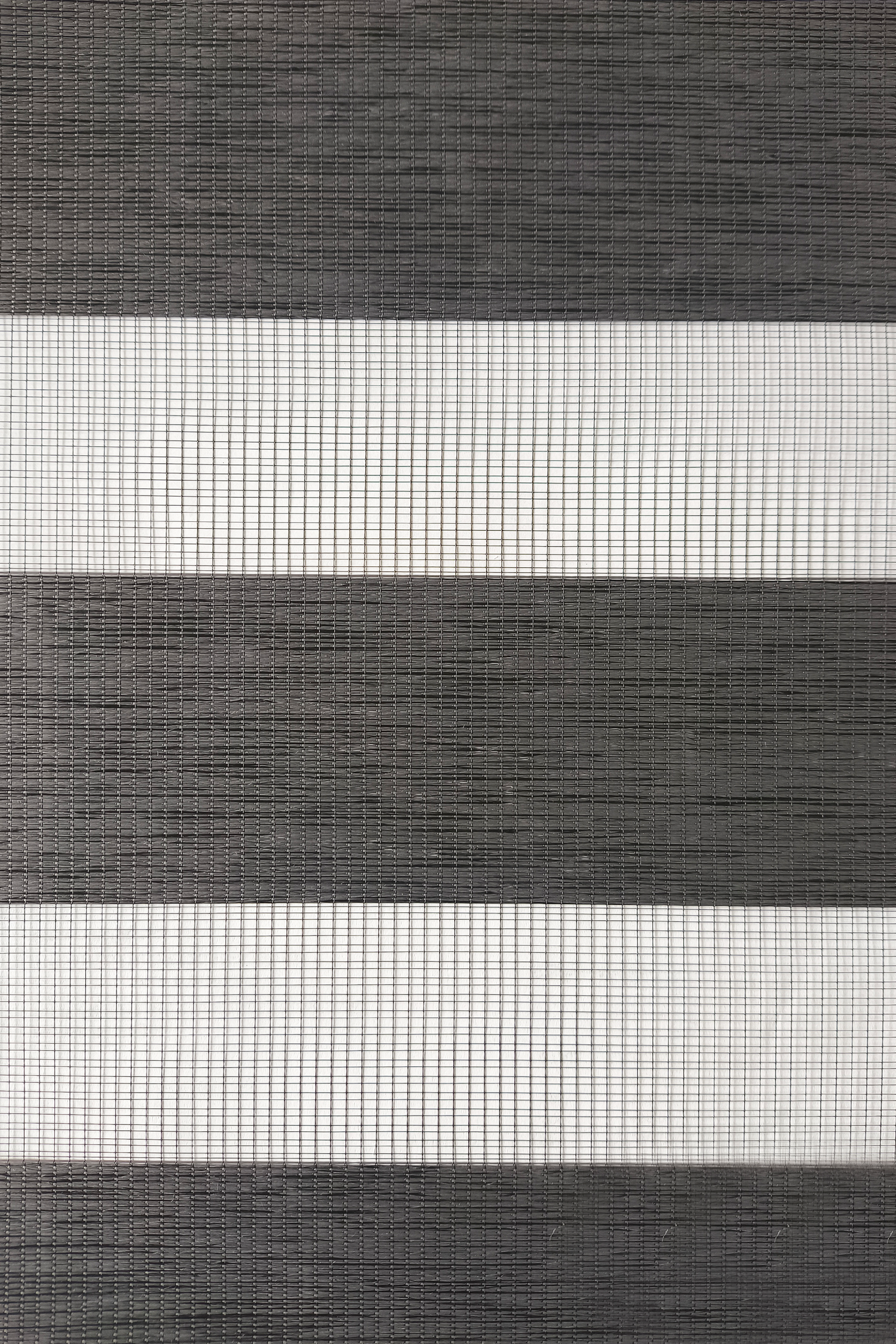 G#1 T-Z EXL 019-70201 GREY 3.10ML